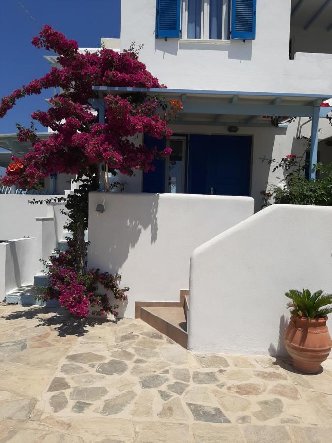 Stella Naxos Island Lejlighedshotel Agia Anna  Værelse billede